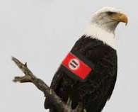 eagle-itarian
