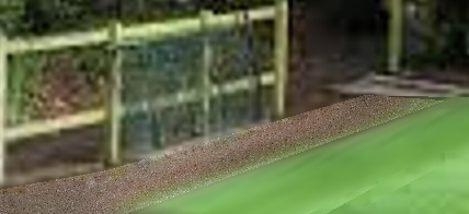 fallow garden strip