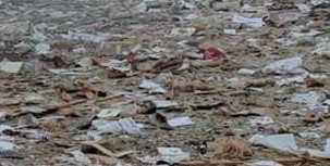 Debris