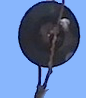 record on stick